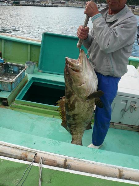 紀伊水道沖の大物です